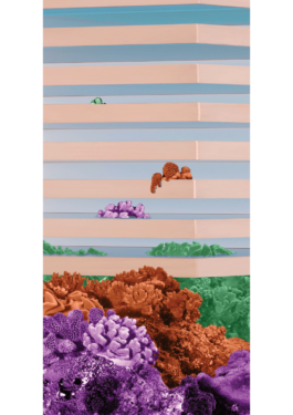  AndrewThomasParry.com