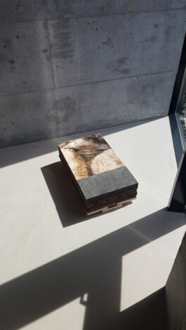 AndrewThomasParry.com